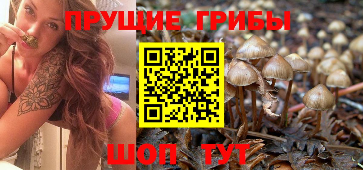 Псилоцибиновые грибы прущие грибы Новодвинск