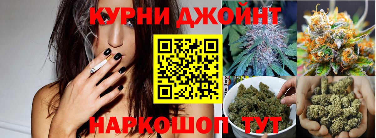 Каннабис семена  Бошки марихуана AK-47  Новодвинск  Шишки марихуана White Widow  Вход с VPN 